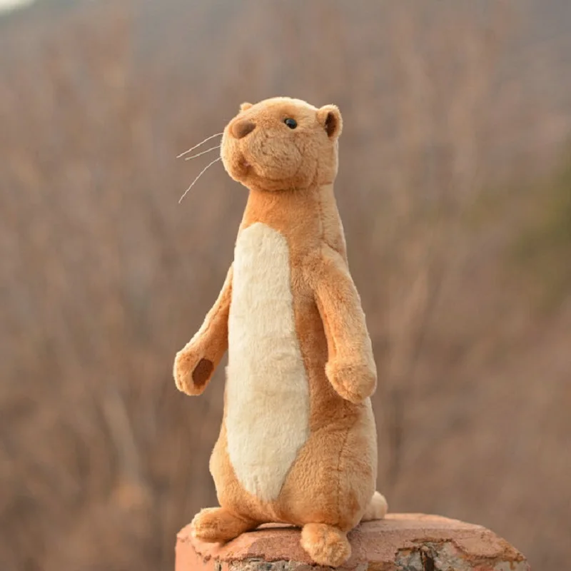 

Плюшевая игрушка, мягкая кукла, модель животного, Выдра, желтая васка, суриката, суриката, лутра, мушта, сибирика, пожизненная история, 1 шт.