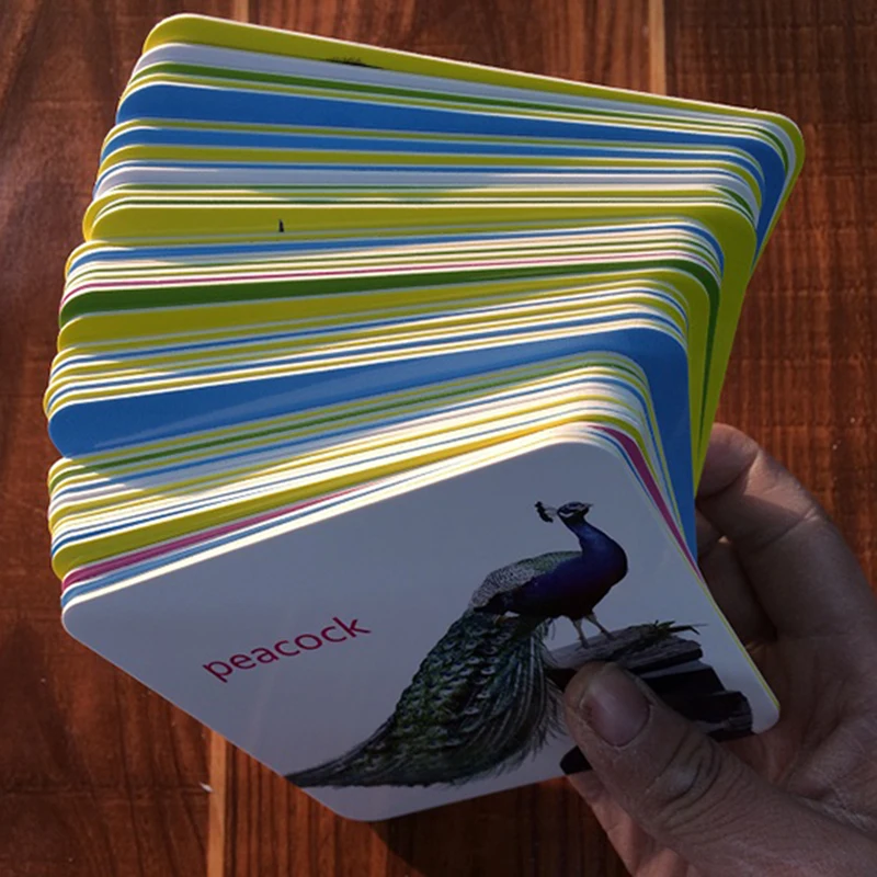 44 шт./компл. детская Фотокарта памяти с животными Монтессори материалы для