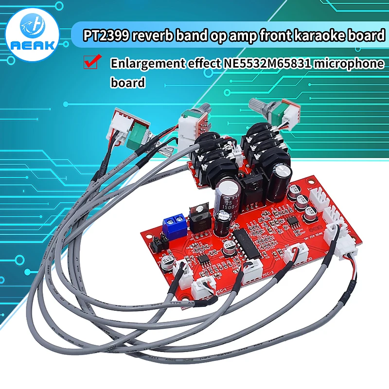 

Плата реверберации для караоке PT2399, динамический микрофон для домашнего кинотеатра, модуль электроусилителя AD828, предварительный усилител...