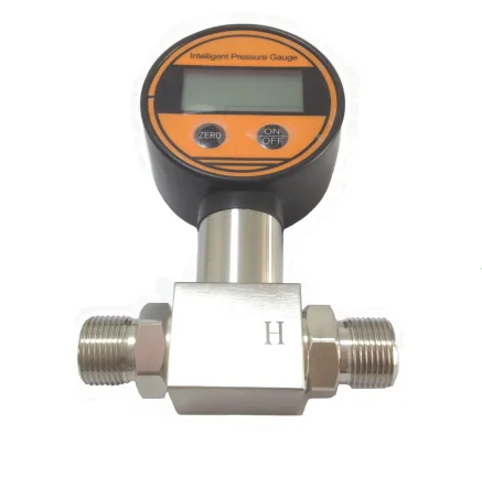 

Water and Oil Industrial Digital Pressure Gauge