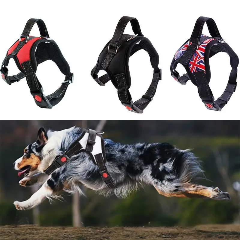 

Rope Pet Dog Walking Training Lead Collar Harness Chest Strap Home Supplies