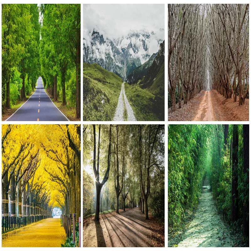 

Natural Scenery Photography Background Spring Landscape Travel Photo Backdrops Studio Props 2021115CA-02