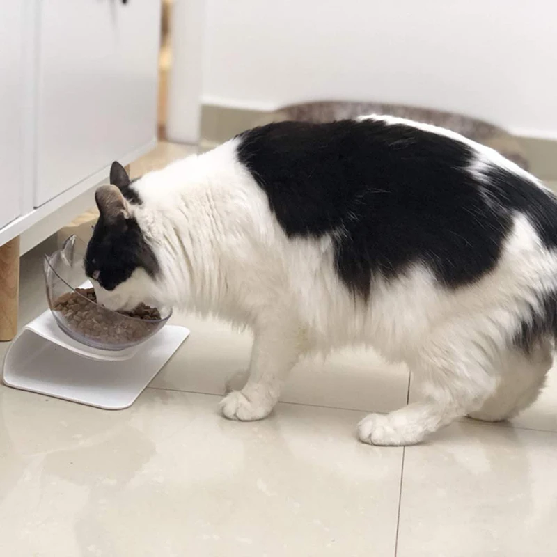 Нескользящие чаши для кошек двойные с поднятой подставкой миски еды и воды чаша
