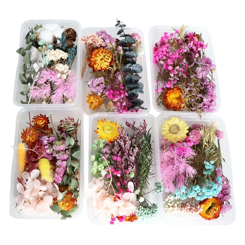 

1 Box Dried Flowers UV Resin Decorative Natural Flower Stickers 3D Dry Beauty Decal Epoxy Mold DIY Filling Making Craft