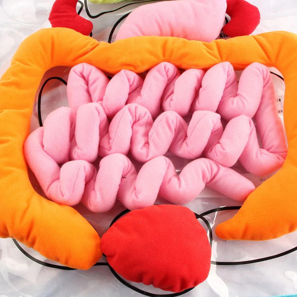 Фартук для развития образовательных органов 3D Детский фартук человеческого тела