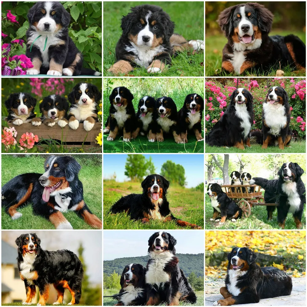 

HUACAN DIY Diamond Painting Dog 5D Full Square Round Mosaic Diamond Animal Mosaic Rhinestone Cross Stitch Decoration