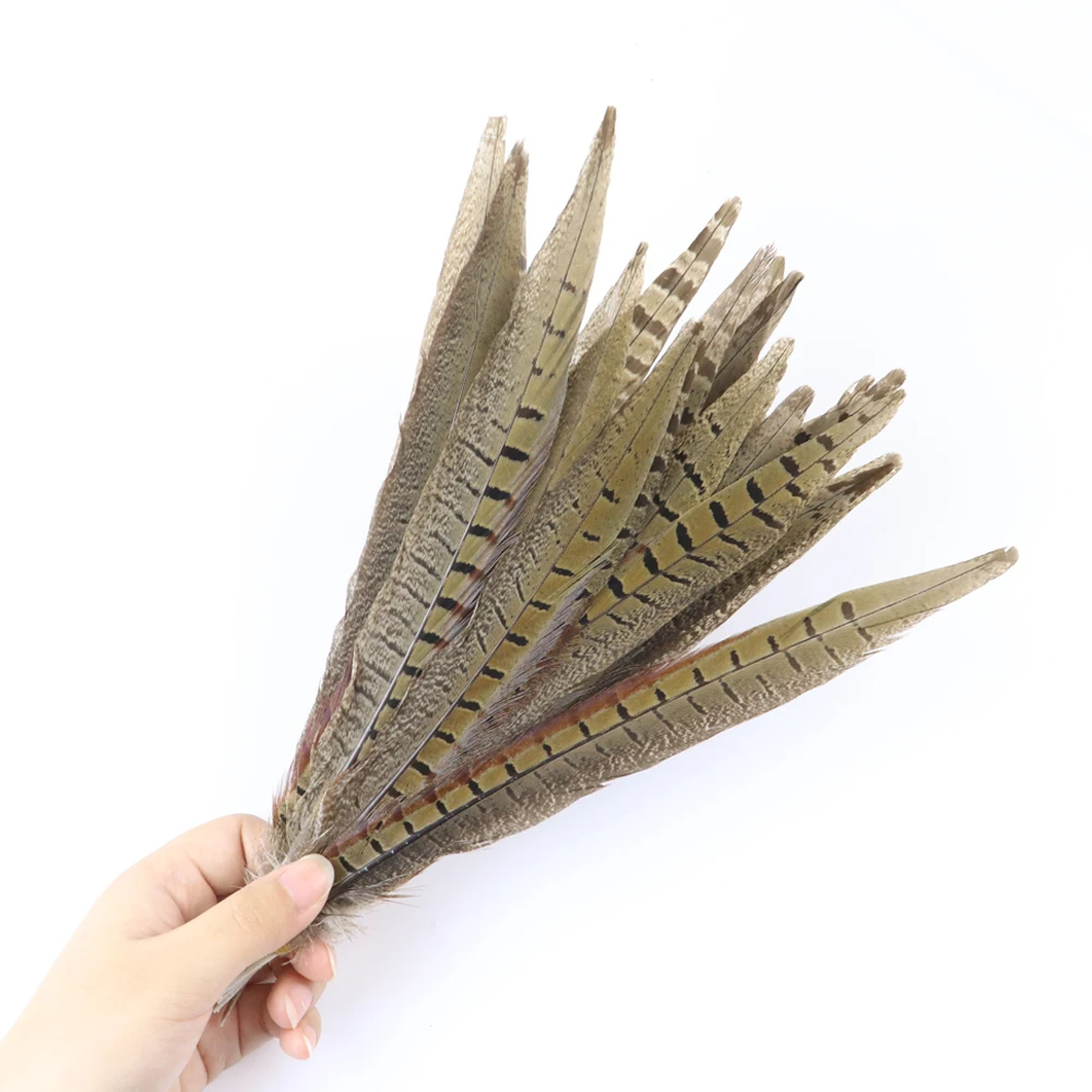 10 шт натуральные Ringneck Перья из хвоста фазана 10-26 дюймов/25-65 см перо для вечерние карнавальные украшение для головного убора шлейф
