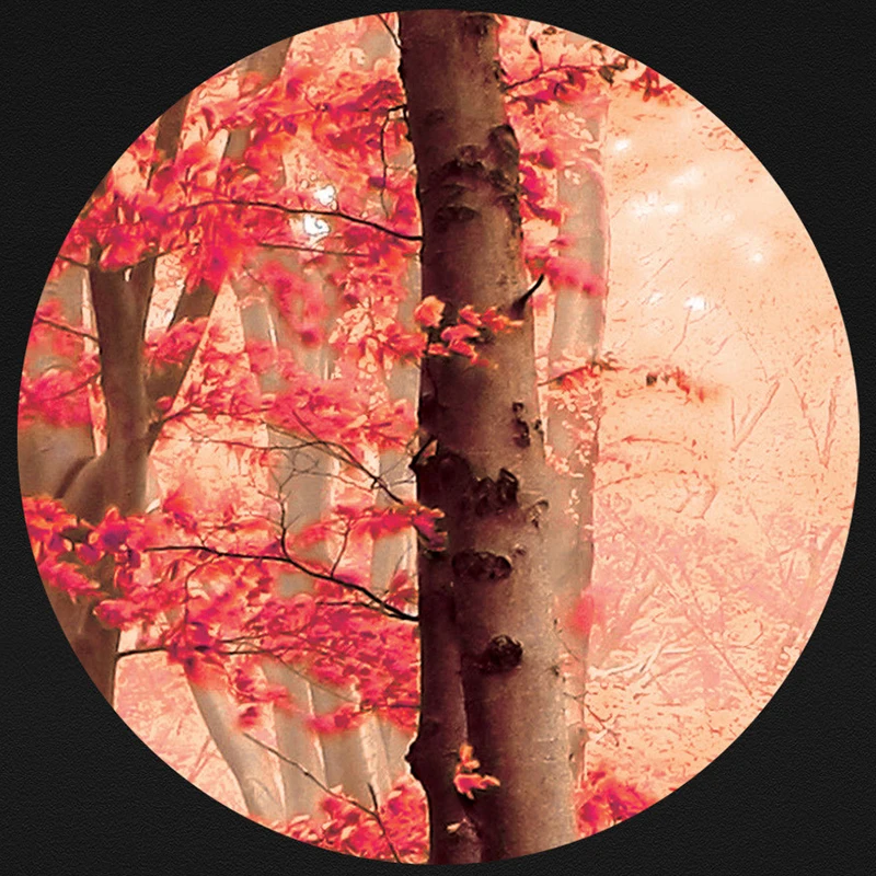 Настенные 3D-обои с изображением леса природного ландшафта фрески для гостиной