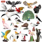Oenux Милая птица, животные, экшн-фигурка, дятел, попугай, Орел, Феникс, птицы, миниатюрная модель, домашние искусства