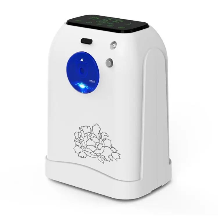 

10l Portable Oxygen Concentrator Physical Therapy Equipments for Hospital Medical Use Oxygenerator Machine