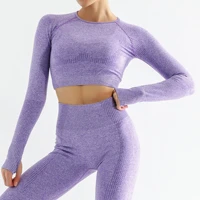 new 2021 hot sale women gym suit women fitness sets fitness clothing gym clothing yoga clothing long sleeved yoga clothing suit