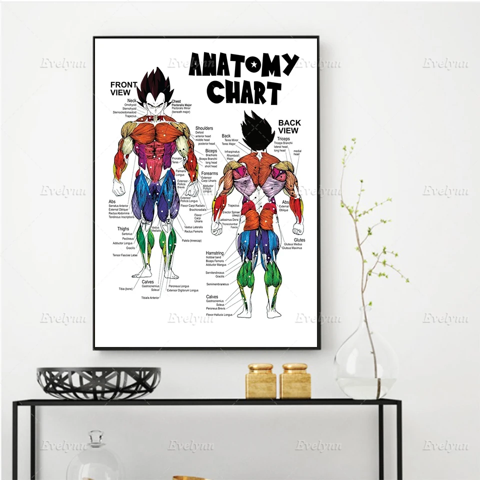

Anime Muscle Anatomy Chart Poster and Print Abstract Wall Art Canvas Painting Home Decor Modular Pictures For Boy's Living Room