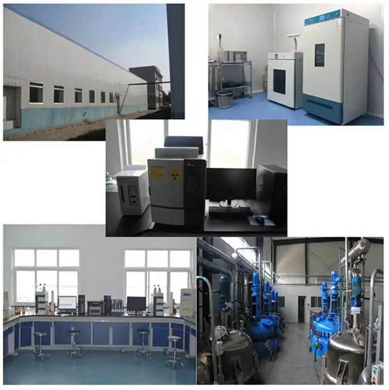 100 г 500 косметика/Высокое качество порошок гиалуроновой кислоты Бесплатная