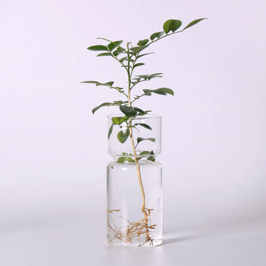 

Hyacinth Home Decorative Vase Landscape Crystal Hydroponic Container