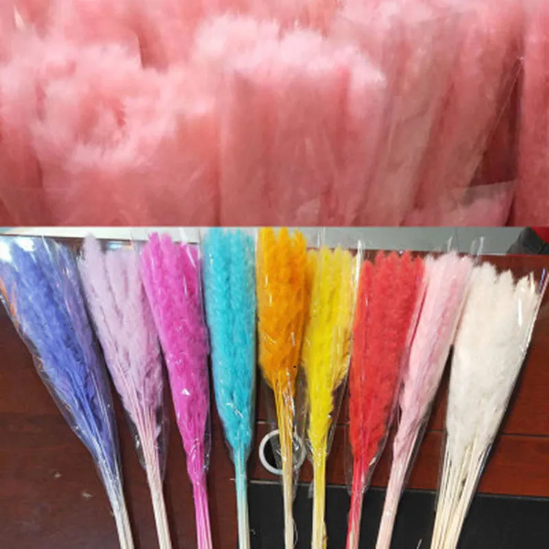 

About 60cm 15Pcs Color Reed Dried Natural Pampas Phragmites DIY Flowers Plants Home Party Christmas Wedding Decor