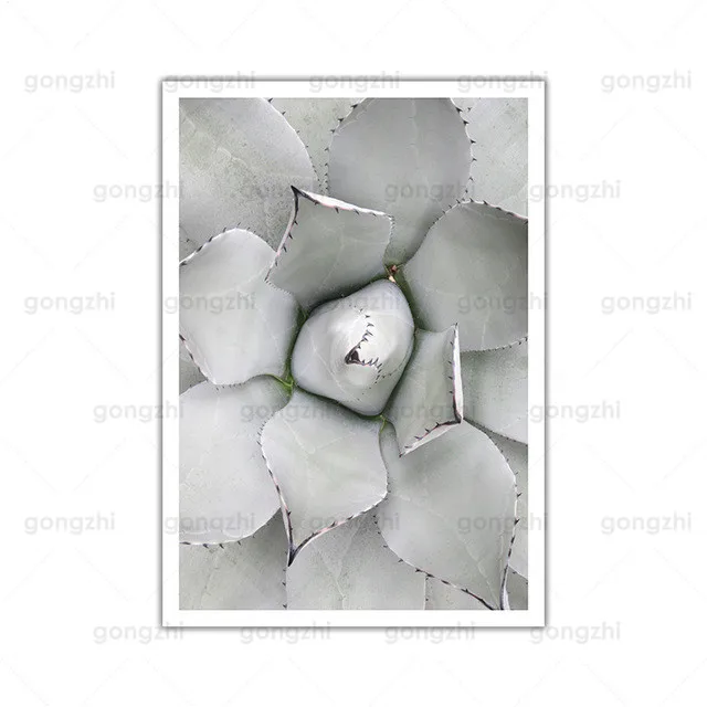 

Nordic Canvas Minimalist Normcore Succulents Wall Art Deco Print Painting Custom Living Room Bedroom Cafe Nail Shop Decor