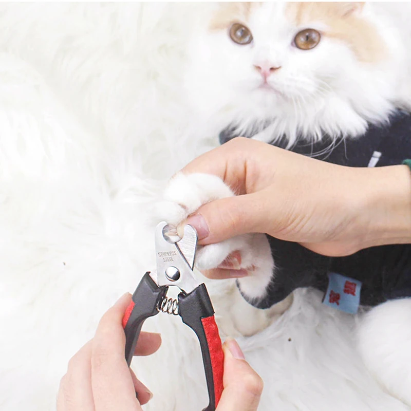 

Stainless Steel Pet Nail Clipper Dog Nail Cutter Cat Toe Claw Clippers Scissors Trimmer Grooming Tool Large Small Dog Suppliers
