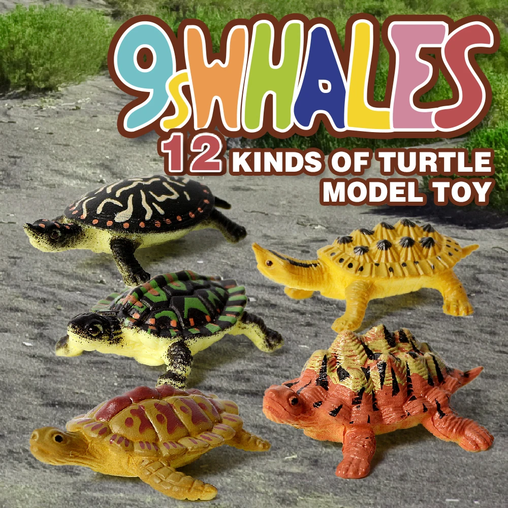 

12PCS Realistic Sea Turtles Animal Action Figures Model Educational Fidget Toy Scene Design Simulation figurine Decoration Gift