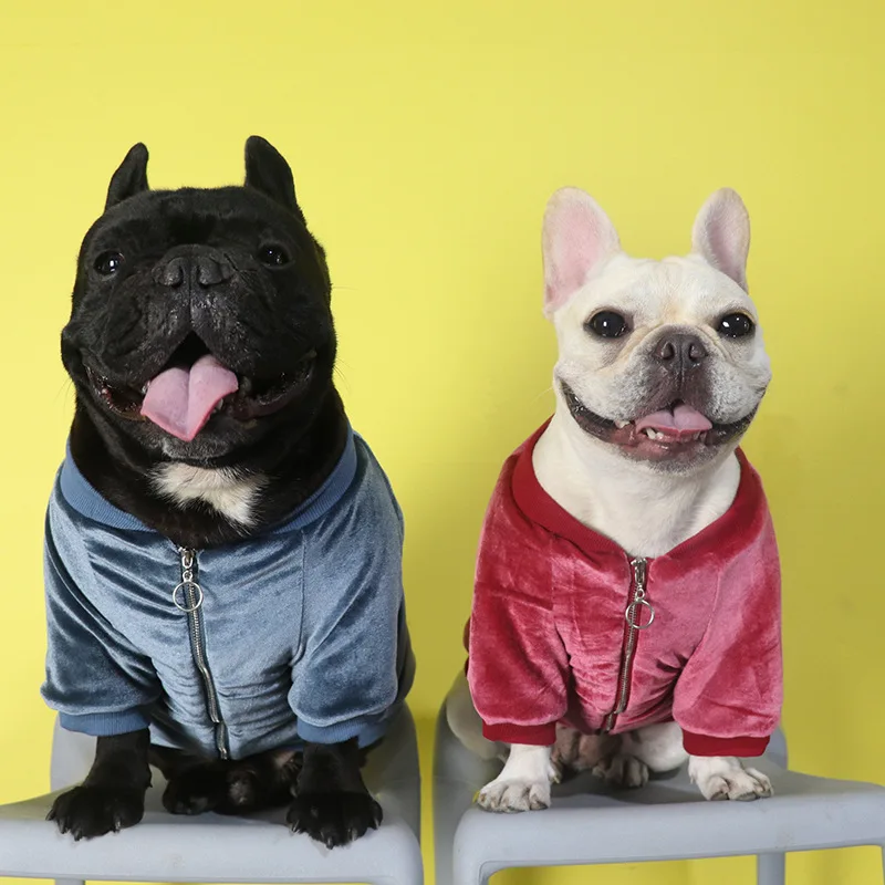 

Law Fighting Coat Dog Autumn and Winter Clothes New Pet Fashion Brand Velvet Baseball Uniform Pug Fat Dog Small Dog Thick Warm