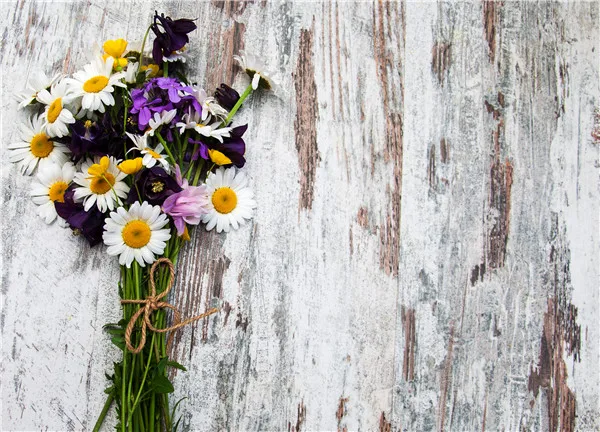 

SHENGYONGBAO Vinyl Custom Valentine day Photography Backdrops Prop Floral Rose Wooden Photo Studio Background F191220-27