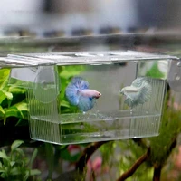 aquarium accessories transparent acrylic fish tank breeding isolation box aquarium hatchery incubator holder