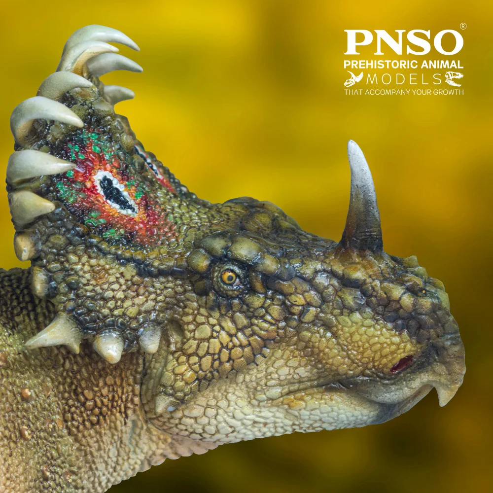 PNSO-modelo de dinosaurio preantiguo: 40 a-qi, Sinoceratops-0