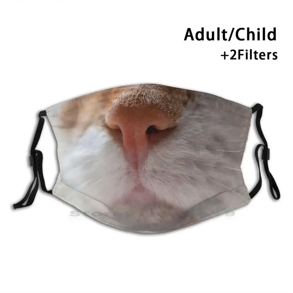

Ginger Cat Mouth Mouth Design Anti Dust Filter Washable Face Mask Kids Stay Healthy Save Lives Stop The Spread Social