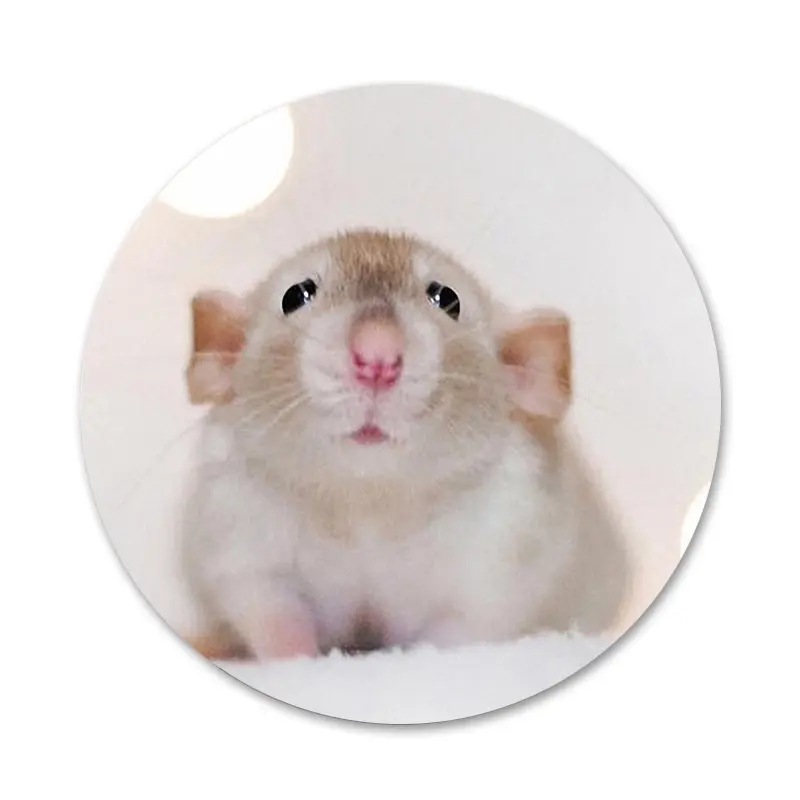 Кролик мышь Хомяк значок для одежды рюкзак украшение подарок | Дом и сад