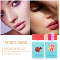 20pcset lipstick cigarette case cotton swab lipsticks long lasting waterproof cosmetics tattoo lipstick lip tint for women