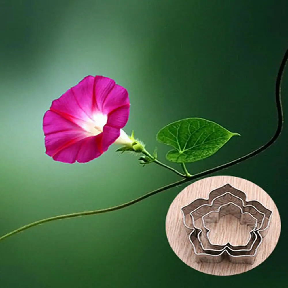 3 шт./компл. цветочный резак для печенья инструменты выпечки форма помадки глины