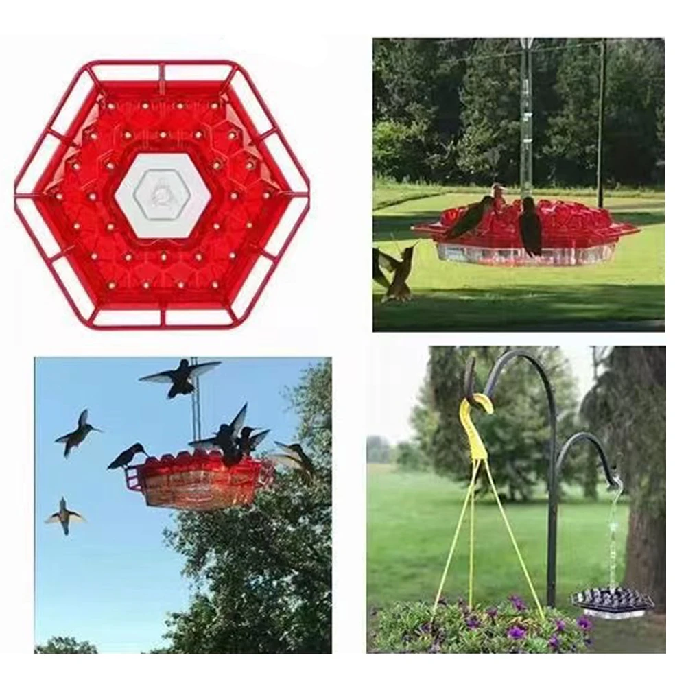 

Hummingbird Feeder Viewing Wild Considerable Transparent Concise Bird Feeder Clear Table Durable Beautiful Birds ABS