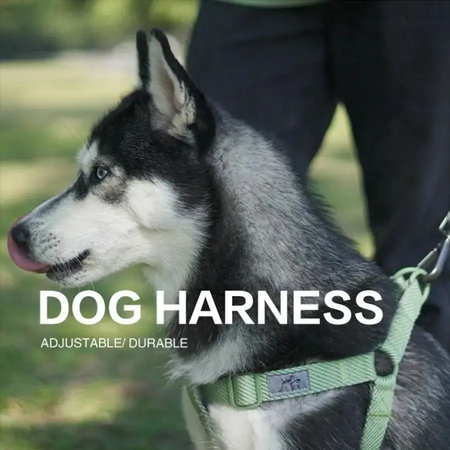 

Dog Harness with ID Buckle Pet Products Pet Harness Adjustable Pet Harness Accept Custom Logo