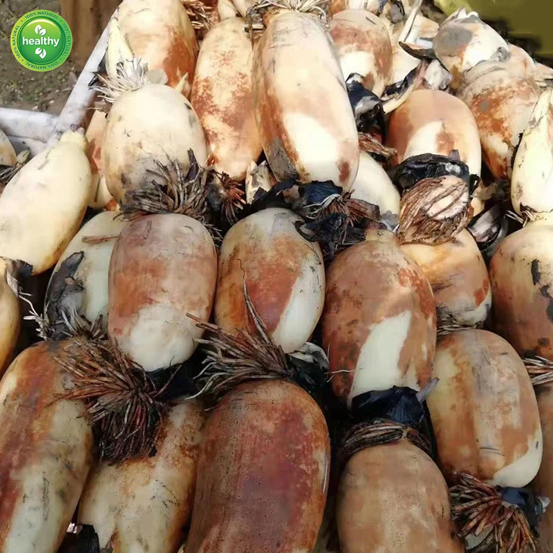 

Lian Ou Improve Digestive Function