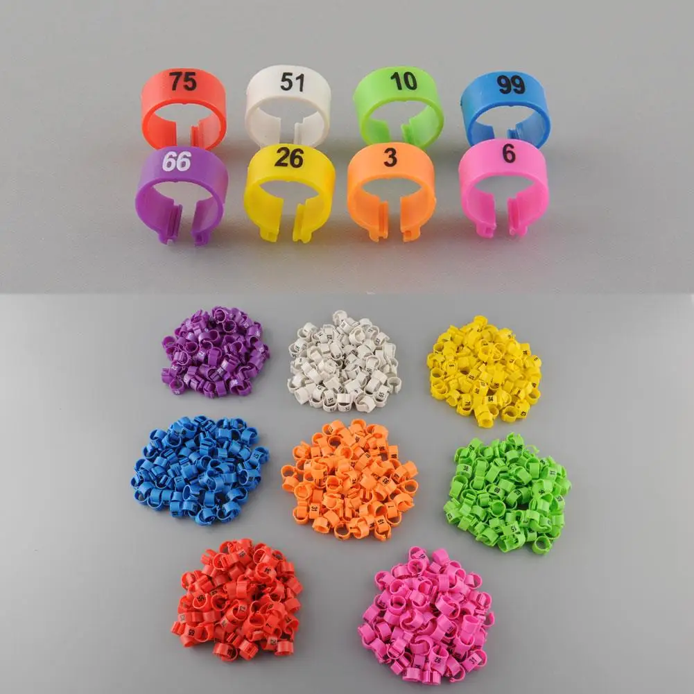 Повязки для ног птицы 100 шт. набор фиолетовых колец петушок приспособление курицы