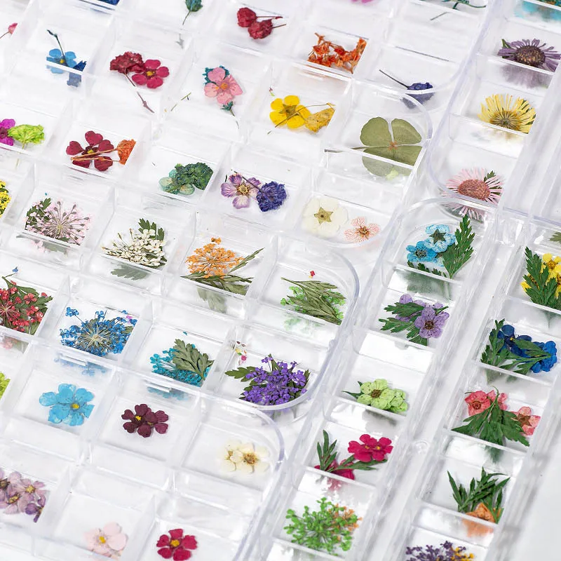 3d натуральные маргаритки Gypsophila DIY наклейки консервированные гербарий 12 сетки женские принадлежности сушеные цветы Дизайн ногтей украшения