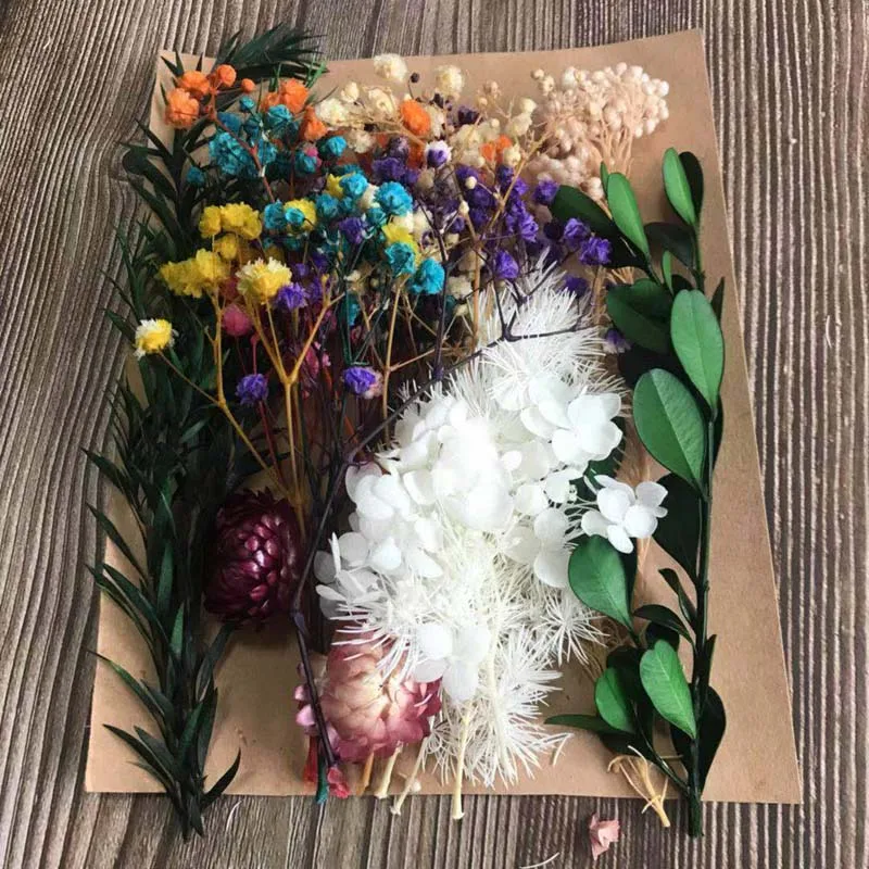 От волдырей 25 г натуральным завода по производству сухих Мульти Стиль сушеная