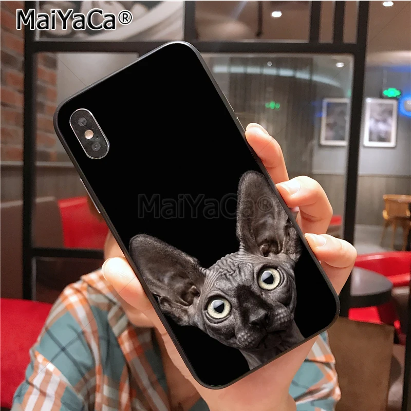 Уникальный силиконовый чехол sphynx cat для iphone 11 12 Pro 6S 6plus 7 7plus 8 8plus X 5 5S Чехол 12mini |