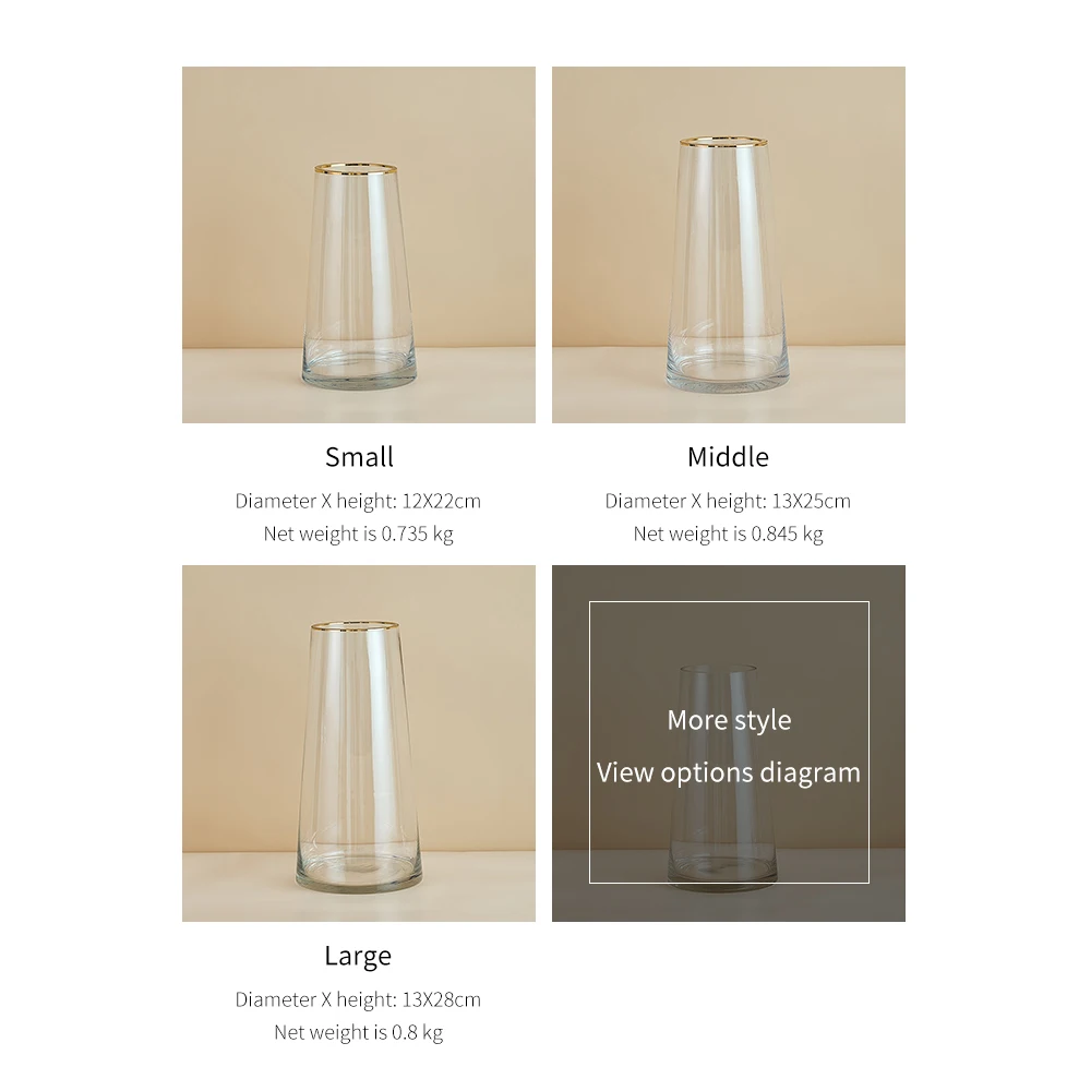 

Nordic Home Decoration Modern Transparent Glass Container Hydroponic Vase Modern Flower Vase Home Decoration Glass Plant Holder