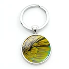 TAFREE красочные птицы перья автомобильные брелоки 25 мм подвесные кольца для ключей для мужчин стекло кабошон безделушка ювелирные изделия оптовая продажа