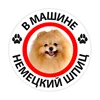 Изображение товара 0