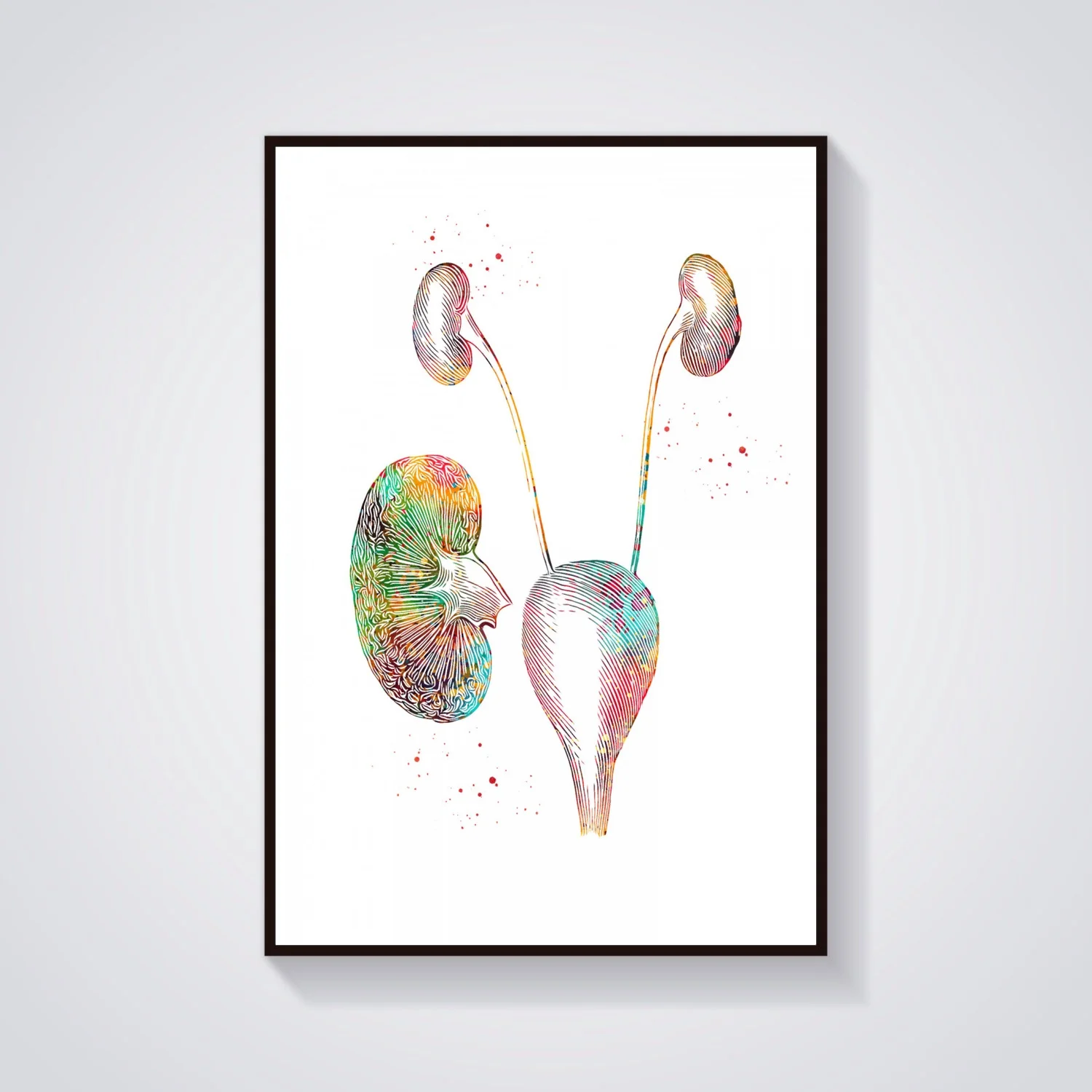 Скелет череп тело позвоночник зубы грудные конструкция анатомия медицинский и