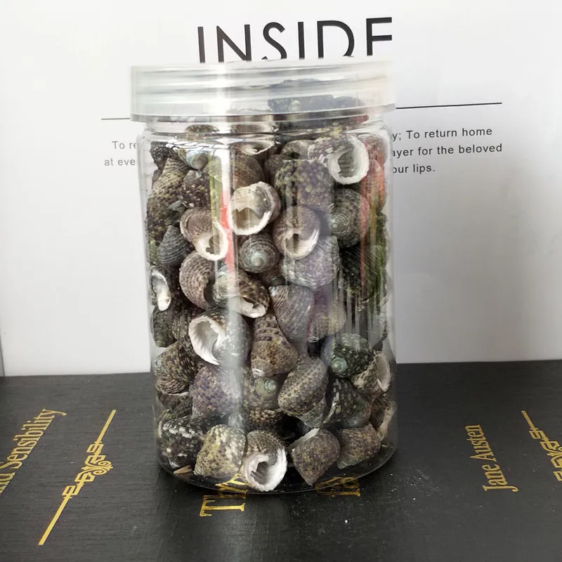 1 коробка миниатюрные бусины в виде ракушек | Дом и сад