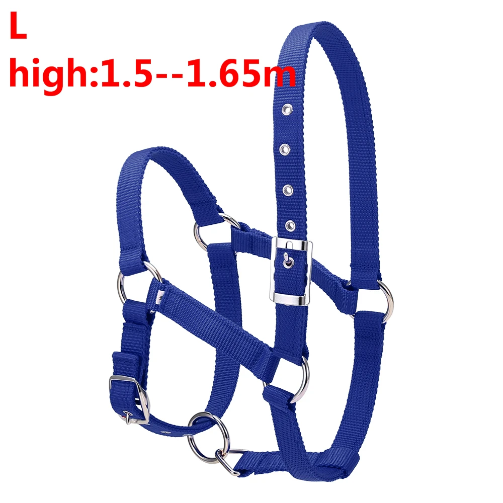 blue L S/M/L 6 мм утолщенный ошейник для головы лошади, регулируемый безопасный ошейник с завязкой на шее, ошейник для верховой езды, оборудование для гонок, тренировочная веревка, горячая распродажа - Цвет: blue L