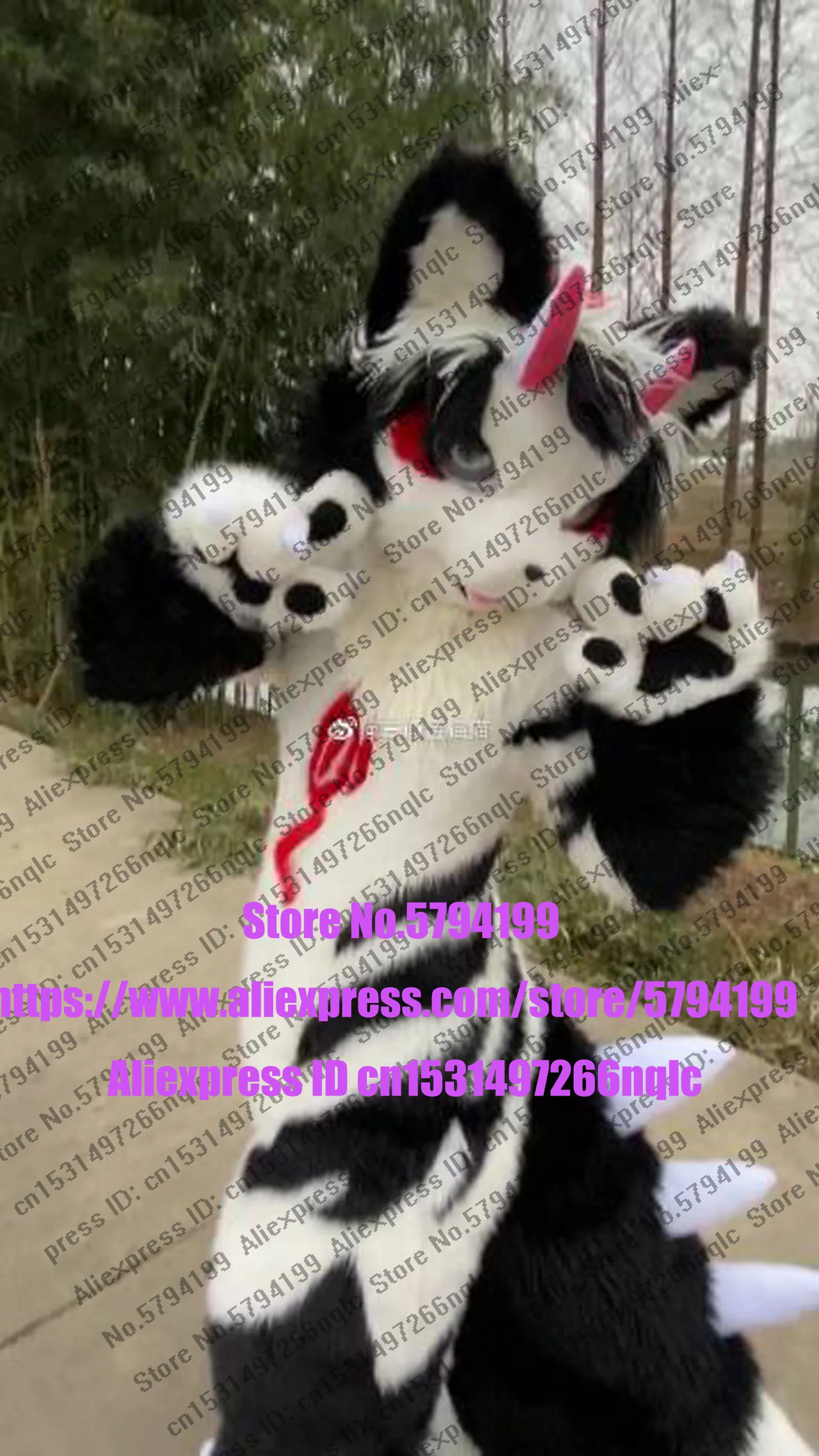 Индивидуальное реальное фото dx0039 полный комплект с котом Хаски собака костюм