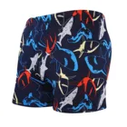 Мужской Быстросохнущий костюм для плавания, пляжные шорты с принтом динозавра для серфинга, плавки с принтом, одежда для плавания