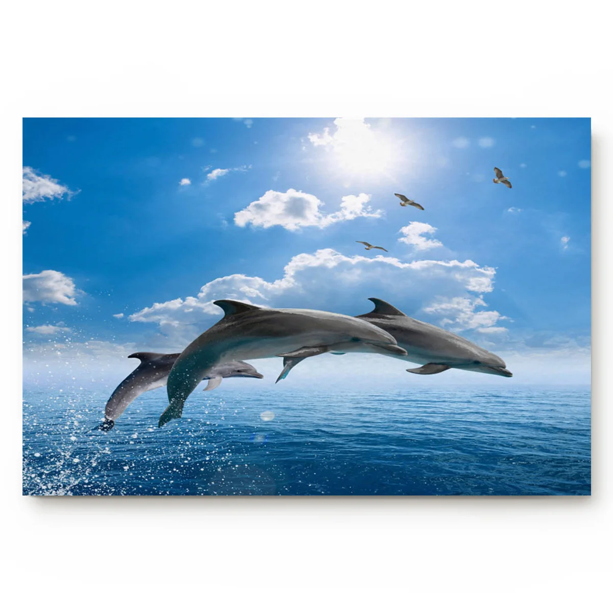 Животные дельфин море голубое небо летающая птица гостиная дверной коврик для
