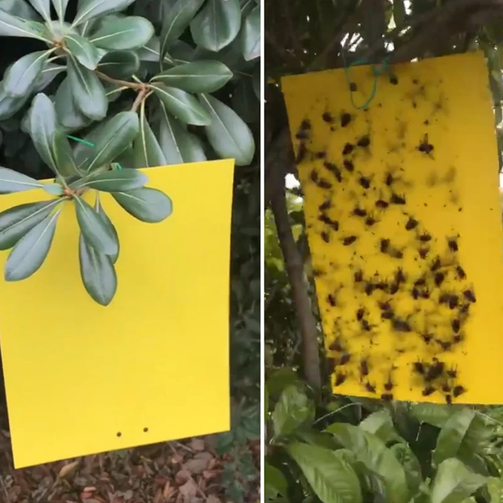 

Strong Fly Traps 20 Pcs Dual-Sided Yellow Sticky Traps Bug Sticky Board for Flies Bugs Insect Pest Catching Home Garden Supplies