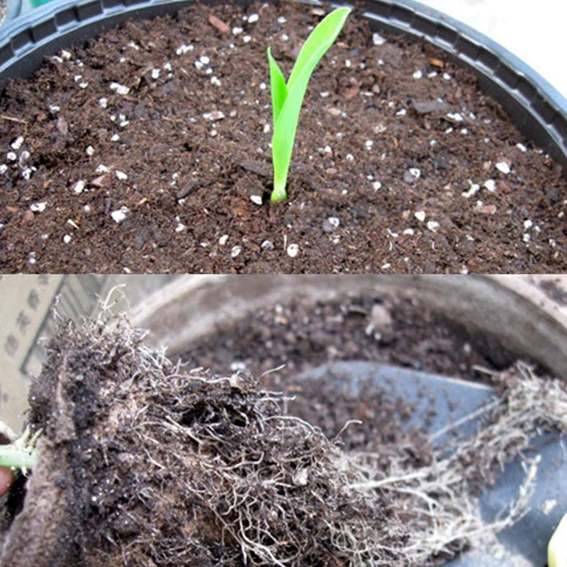 

Seedling Pots,Biodegradable Pots,30PCS 8X8cm Round Peat Pots + 10PCS 12-Slot Biodegradable Seed Starter Pots