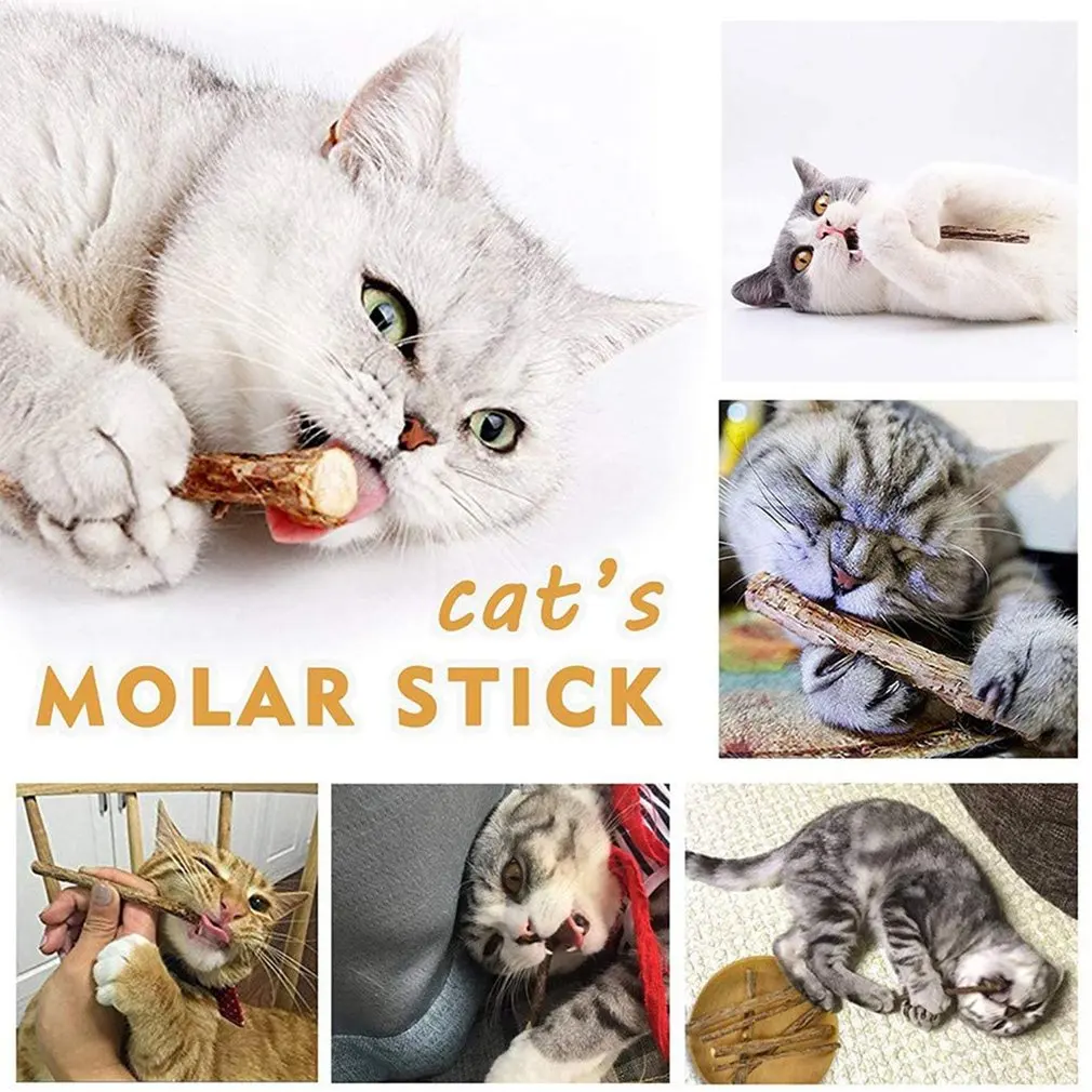 

15pcs Cat Cleaning Teeth Natural Catnip Pet Cat Molar Stick Cat Snacks Silvervine Sticks Chew Toy Chew Sticks