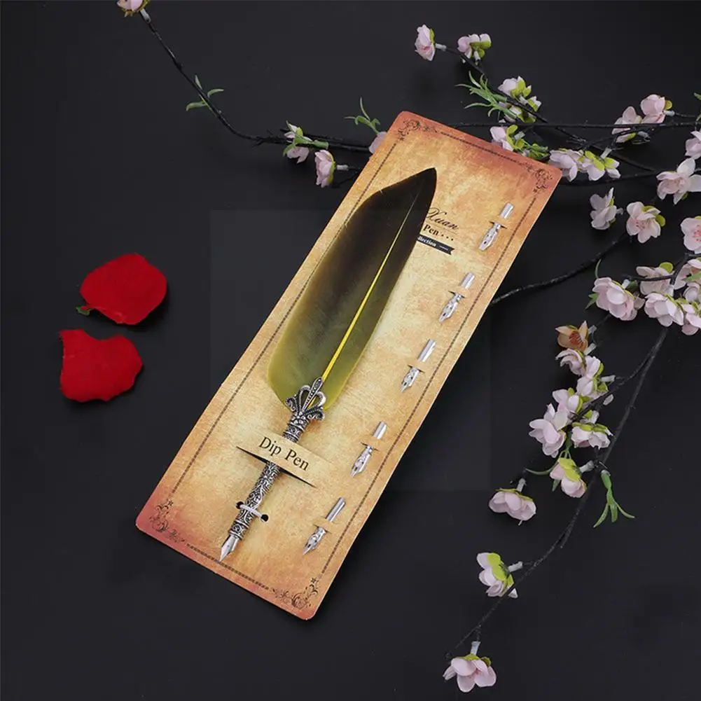 

English Calligraphy Feather Dip Pen Writing Gift For Letter Pens Box Nibs Fountain Wedding With 5 Stationery Quill R0s4
